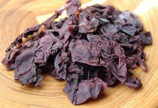 Sea Moss Healing & You