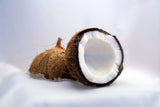 Organic Coconut Water Powder