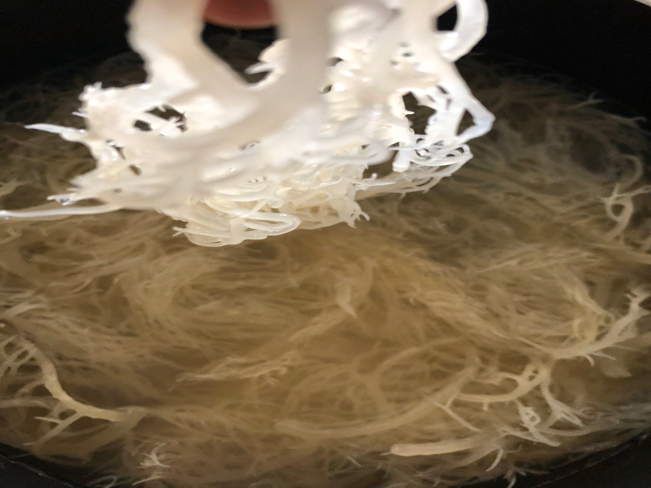 Get Your Fresh Sea Moss Gels Today!