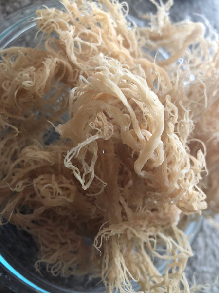 Sea Moss Gel GoldRise Amanata Wildcrafted