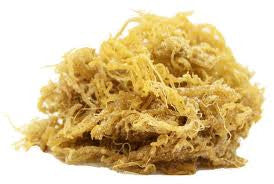 Organic Irish Moss Powder