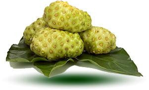 Organic Noni Fruit Powder